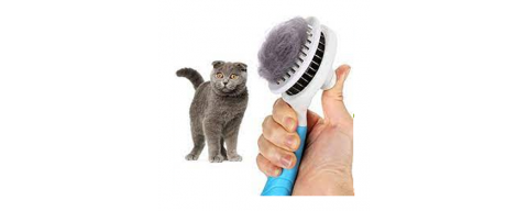 Pulizia e cura animali domestici Pulizia e cura animali domestici